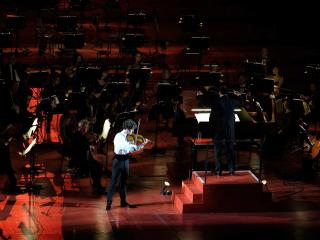 Vivaldi_Zanon_Verona_agosto_2020